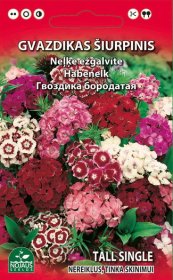 Gėlių sėklos, gvazdikas šiurpinis, mišinys, 0,5 g., 1206