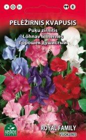 Gėlių sėklos, pelėžirnis kvapusis vijokl., mišinys, 2 g., 0919