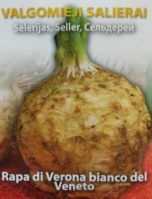 Daržovių sėklos, ORTOVIVO salierai Rapa di verona bianco veneto, 2 g., C