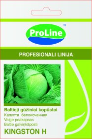 Daržovių sėklos, PROLINE baltagūžiai kopūstai  Kingstonia H, 30 s., D