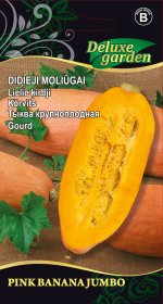 Daržovių sėklos, moliūgai Pink banana jumbo, 2 g., 3966, B