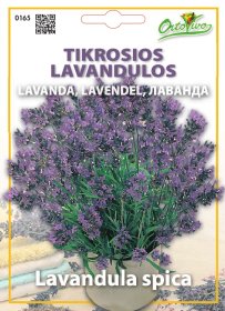 Gėlių sėklos, ORTOVIVO tikrosios levandos, 0,25 g., C