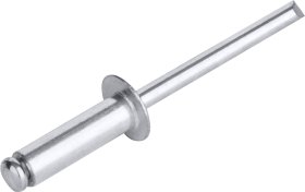 Kniedės TOTAL, 4.8x12 mm, 100vnt., WJRT4801211