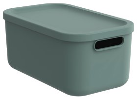 Daiktadėžė ROTHO Albula, 12 l, su dangčiu, žalsvos sp.
