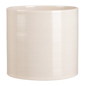 Kambarinis keraminis vazonas SCHEURICH SESAME (828/16), sezamų sp., skersmuo 16 cm.