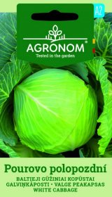 Daržovių sėklos, AGRONOM kopūstai baltieji gūžiniai POUROVO POLOPOZDNI, 2 g.