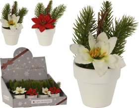 Kalėdinė dekoracija Puansetija, dirbtinė, baltame vazone, aukštis 15 cm, 2 rūšių