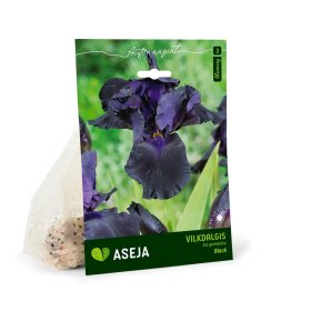 Mėlynžiedžio vilkdalgio svogūnėlis ASEJA Black, 1 vnt., I r., 15063, (P)