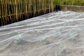 Tinklas nuo vabzdžių daržovėms NORTENE Biocontrol, austas PE, storis 37 g/m², akis 1 x 1 mm, atsparus UV, 2,2 x 10 m