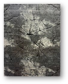 Kilimas RICCO Miami, 120 x 180 cm, polipropilenas/poliesteris, pilkos spalvos (0129), 15B-1S1218