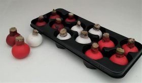 Kambarinis augalas, amarilis aplietas vašku, aukštis 14 cm.