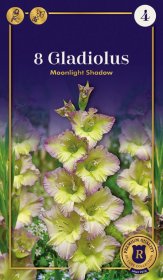 Didžiažiedžių kardelių svogūnėliai Moonlight Shadow, 8 vnt., 14/+, Supreme, 660614, (P)