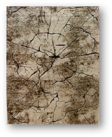 Kilimas RICCO Miami, 120 x 180 cm, polipropilenas/poliesteris, smėlio spalvos (0129), 15B-1B1218, Turkija