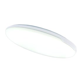 Lubinis LED šviestuvas TOPE Riga, 24 W, 3000/6000K, 220-240V, 2520 lm, IP54, 290 x 50 mm