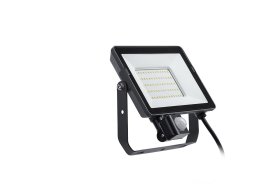 LED prožektorius PHILIPS, Projectline Floodlight, 30W, 4000K, s judesio davikliu