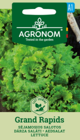 Daržovių sėklos, AGRONOM salotos sėjamosios GRAND RAPIDS, 2 g.