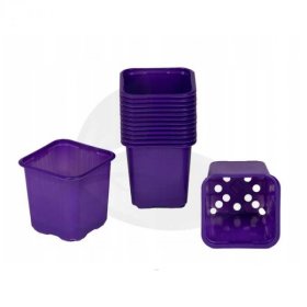 Vazonėlis daigams VEFI, 6 x 6 cm, violetinės sp., 30 vnt.