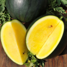 Daržovių sėklos, PROLINE arbūzai Janosik, geltoni, 5 s., D