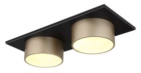 Pakabinamas LED šviestuvas GLOBO Raymond, 24W, 3000K, 230V, 2900 lm, 460x200x113 mm, šampano sp.