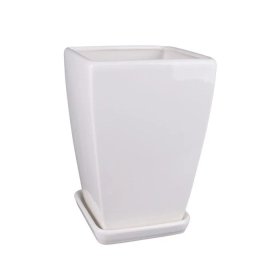 Keramikinis vazonas PAPARTIS 1, su lėkštute