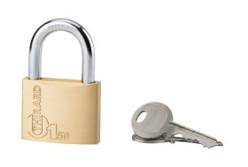 Pakabinama spyna THIRARD, Type 1-50 žalv.korp., 2 raktai, 193015