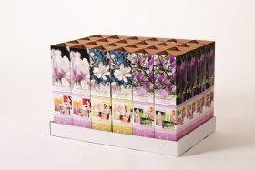 Dekoratyvinis krūmas, magnolija, įvairios, kartoninė tūtelė