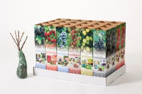 Vaiskrūmis, įvairūs, kartoninė tūtelė