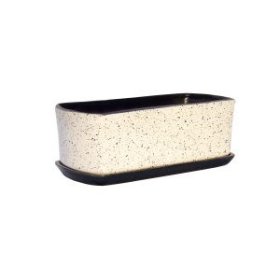 Keramikinė kaktusinė, lovelis VK-2, įvairaus dizaino, aukštis 8 cm., ilgis 26 cm., plotis 9 cm.