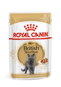 Konservuotas kačių ėdalas ROYAL CANIN, visavertis subalansuotas pašaras suaugusioms britų trumpaplaukių veislės katėms, virš 12 mėnesių amžiaus (gabalėliai padaže)
