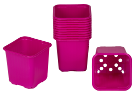 Vazonėlis daigams VEFI, 6 x 6 cm, rožinės sp., 30 vnt.