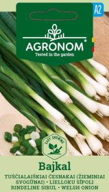 Daržovių sėklos, AGRONOM česnakai tuščialaiškiai (žieminiai svogūnai) BAJKAL, 1,5 g.