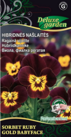 Gėlių sėklos, našlaitė hibridinė Sorbet-St Ruby gold, 20 s., H