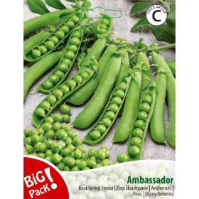 Daržovių sėklos, žirniai raukšlėtieji Ambassador, 20 g., 10291, C