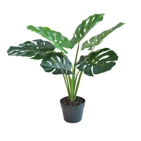 Dirbtinis augalas NOVELLY HOME DY1-5589A Monstera, vazone, 39 cm