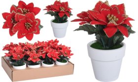 Dirbtinė gėlė Puansetija, baltame vazonėlyje, 7 x 16 cm