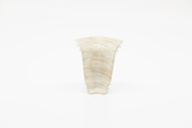 Grindjuostės vidinis kampas DOLLKEN PROFILES Slk 50 Nr. W646, 30 x 50 x 30 mm, sp. Stokholmo uosis