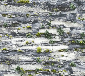 Viniliniai tapetai A.S. CREATION Il Decoro 36492-1, 0.53 x 10m