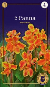 Kanų svogūnėliai Taroudant, 2 vnt., I r., Supreme, 660583, (P)