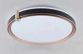 Plafoninis šviestuvas BALTIK GAISMA K39206, LED 96W dimmable IR remote 3000-6500K 500 x 65mm