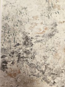 Kilimas Mayumi, 80 x 150 cm, 100% viskozė, 985008515106