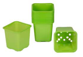 Vazonėlis daigams VEFI, 8 x 8 cm, žalios sp., 20 vnt.