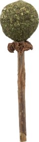 Žaislas katėms TRIXIE Matatabi, lazdelė su katžolės kamuoliuku, 11 cm