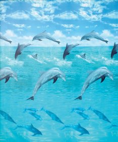 Vonios užuolaida DUSCHY Ocean 622-17, 180 x 200 cm, su kabliukais, kilmės šalis Estija