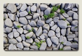 Vonios kilimėlis BENEDOMO, 50 x 80 cm, normal foam, įvairių dizainų, neslystanti apačia