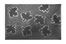 Kilimėlis RICCO Mix-Mat, 40 x 60 cm, 100% guma, pėdutės, 846-000