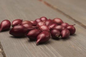Valgomųjų žieminių svogūnų sodinukai Akado, ASEJA, 14/21 mm, 0,5 kg