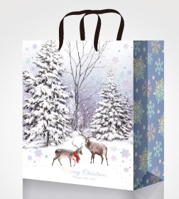 Vidutinis kalėdinis dovanų maišelis, 18x23x10cm, įvairių dizainų