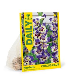 Didžiažiedžio kardelio svogūnėliai ASEJA Daily Circus Club, 3 vnt., 10/12, 83991210 , (P)