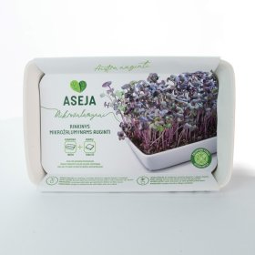 Rinkinys mikrožalumynams auginti ASEJA, keraminis indas ir durpių tabletė