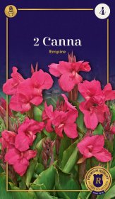 Kanų svogūnėliai Empire, 2 vnt., I r.,  Supreme, 660587, (P)